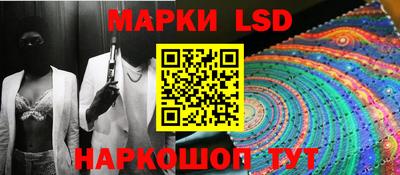 эйфоретик Владимир