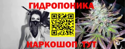 эйфоретик Владимир