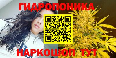 а пвп мука Аргун