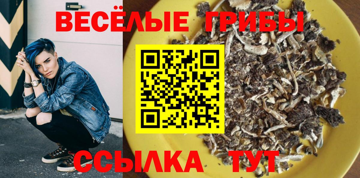 Копейск  Псилоцибиновые грибы Psilocybine cubensis  Вход с VPN 