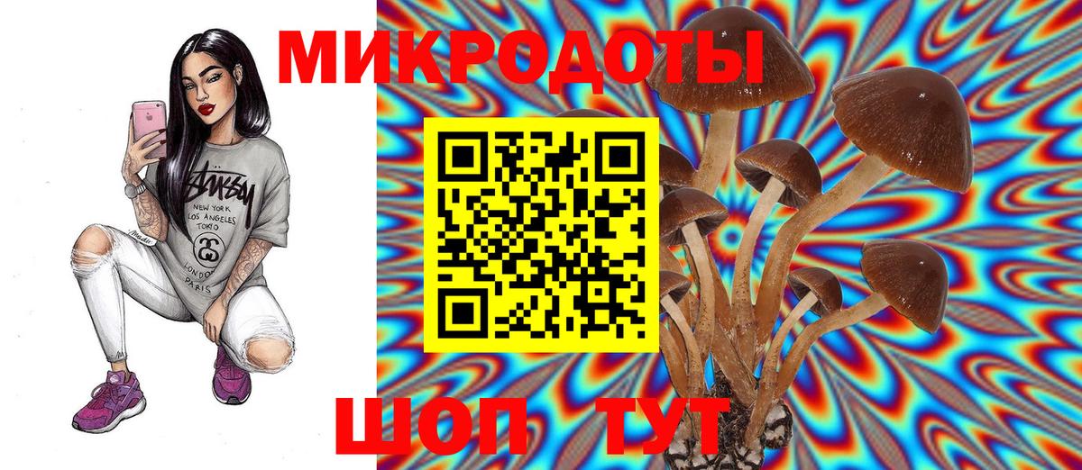 Галлюциногенные грибы GOLDEN TEACHER Копейск